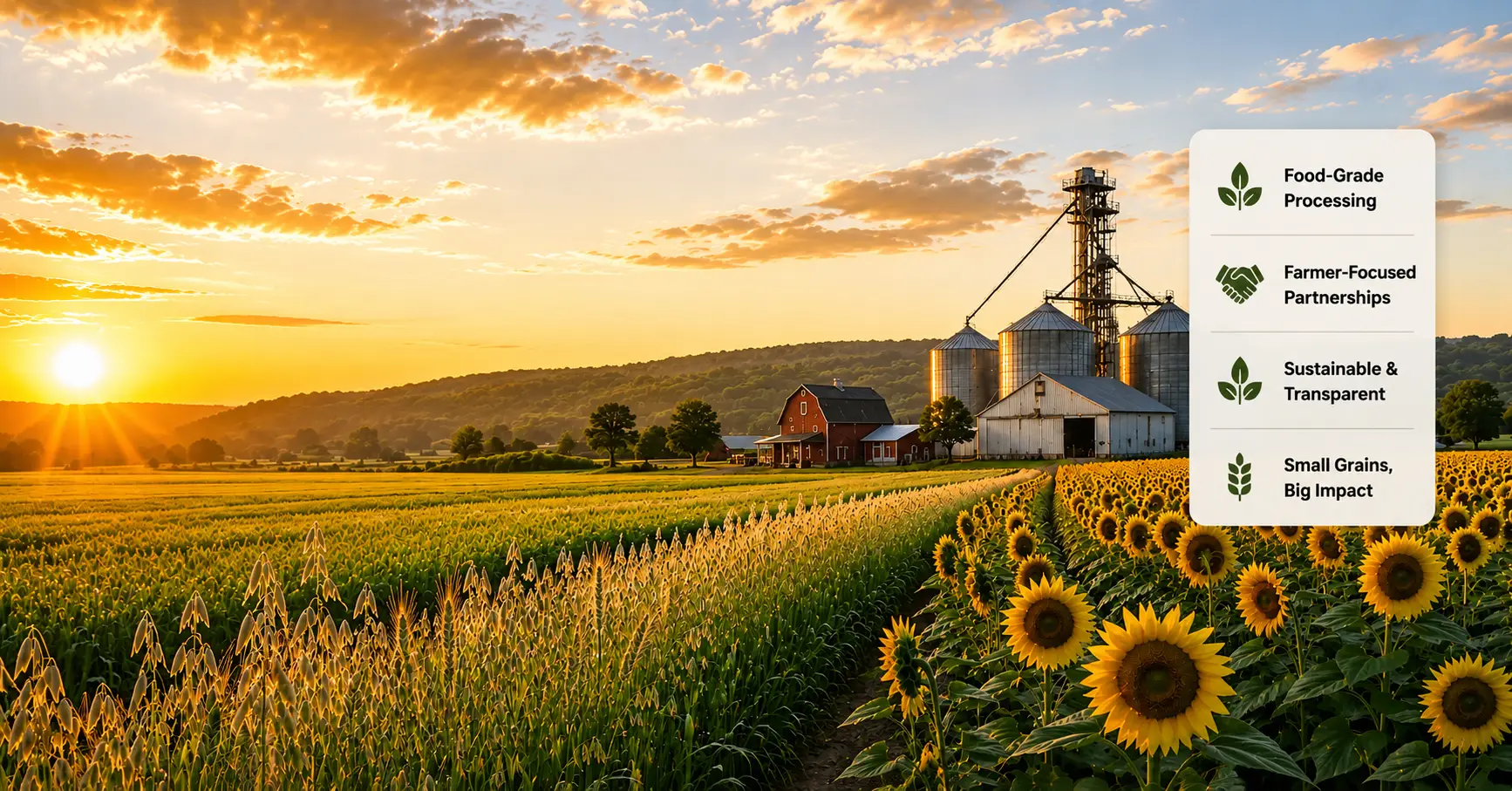 Food-grade grain cleaning and seed processing facility at Perry-Dice Organics in New York