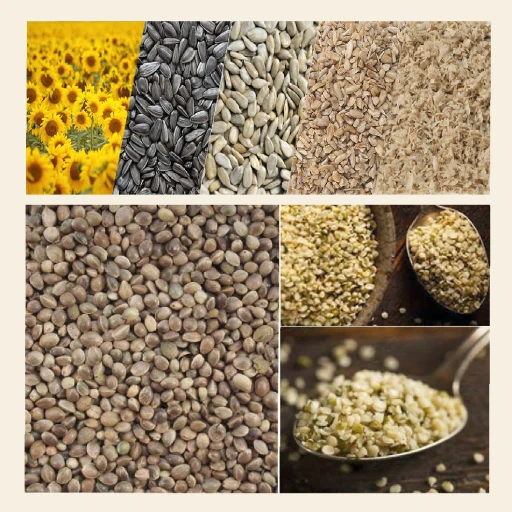Food-grade oilseed processing for sunflower seed, hemp seed, pumpkin seed, flax seed, and specialty oilseeds