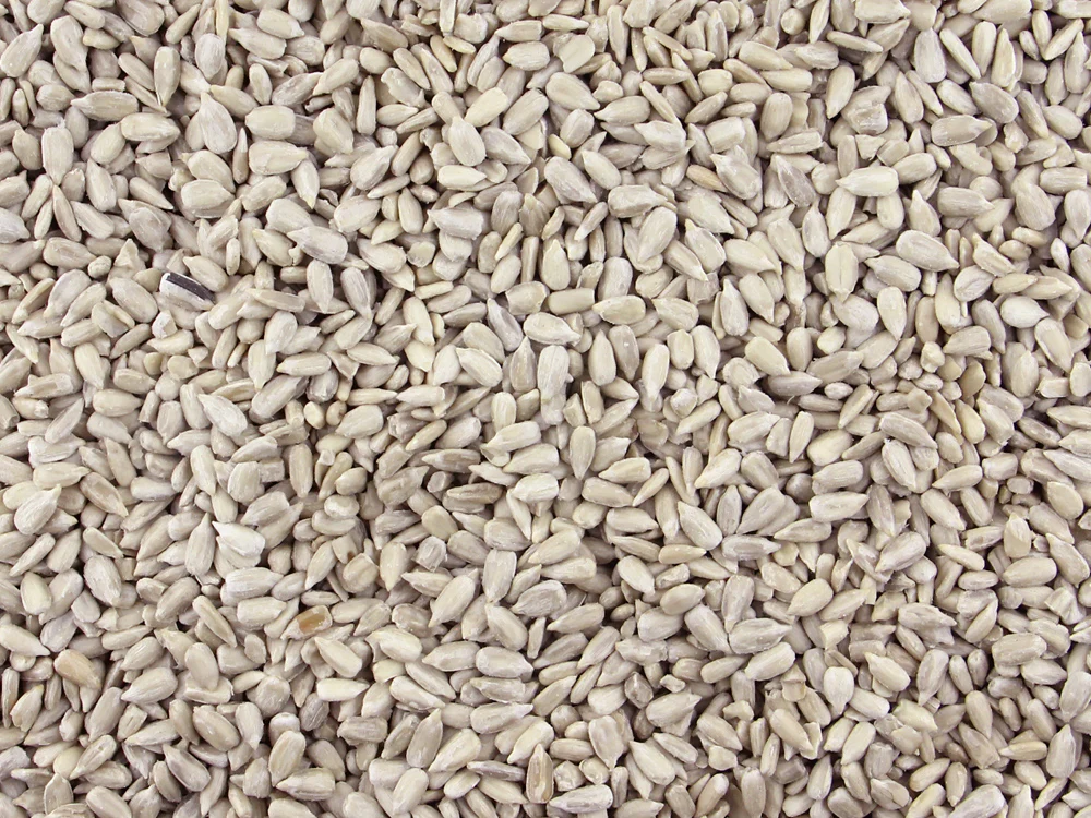 MMCTECH sunflower seed kernels processed at Perry-Dice Organics facility