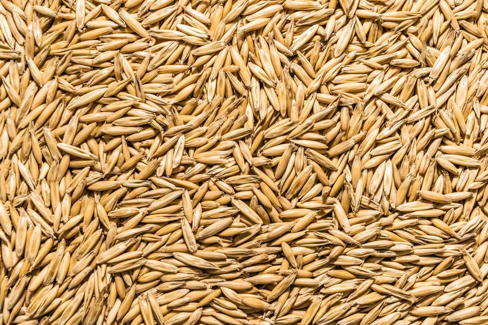 MMCTECH cleaned oats processed at Perry-Dice Organics food-grade facility